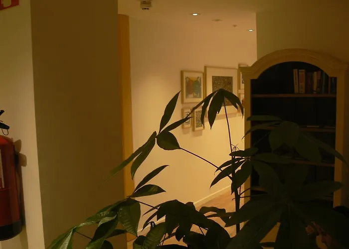 بيت ضيافة Casa Nicolasa 2*