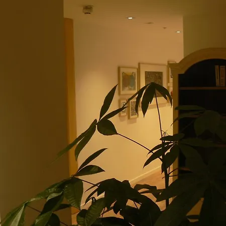 Гостьовий будинок Casa Nicolasa 2*